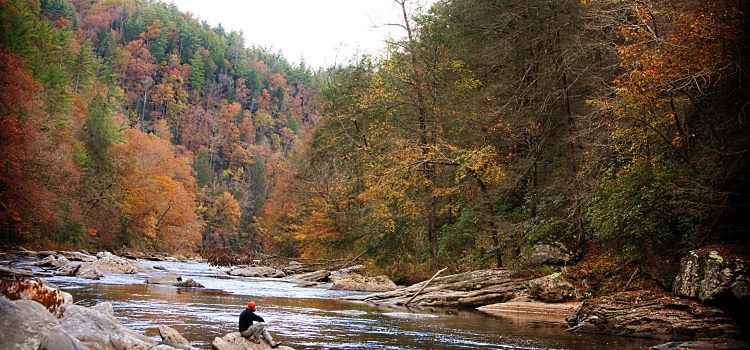 Breathtaking Beauty Awaits Hikers on the Chattooga Trail